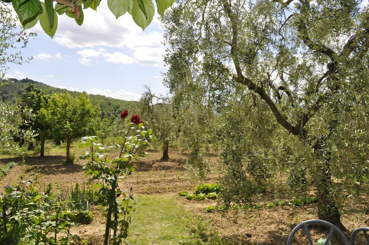 La Casa Di Montelonti Apartamento Poggibonsi Exterior foto